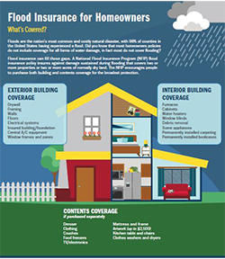 Flood insurance For Homeowners Thumbnail link to PDF