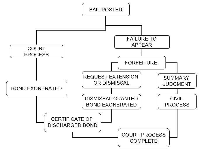 Bail Bond Process Graphic