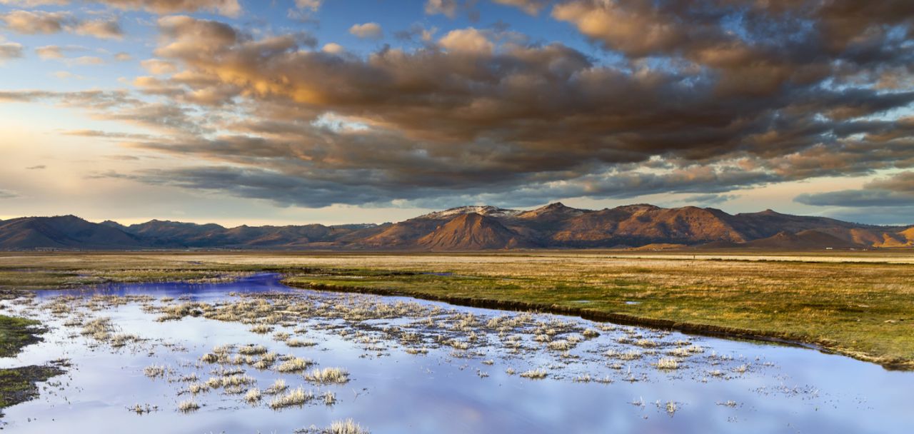 Wetlands under a cloudy sky