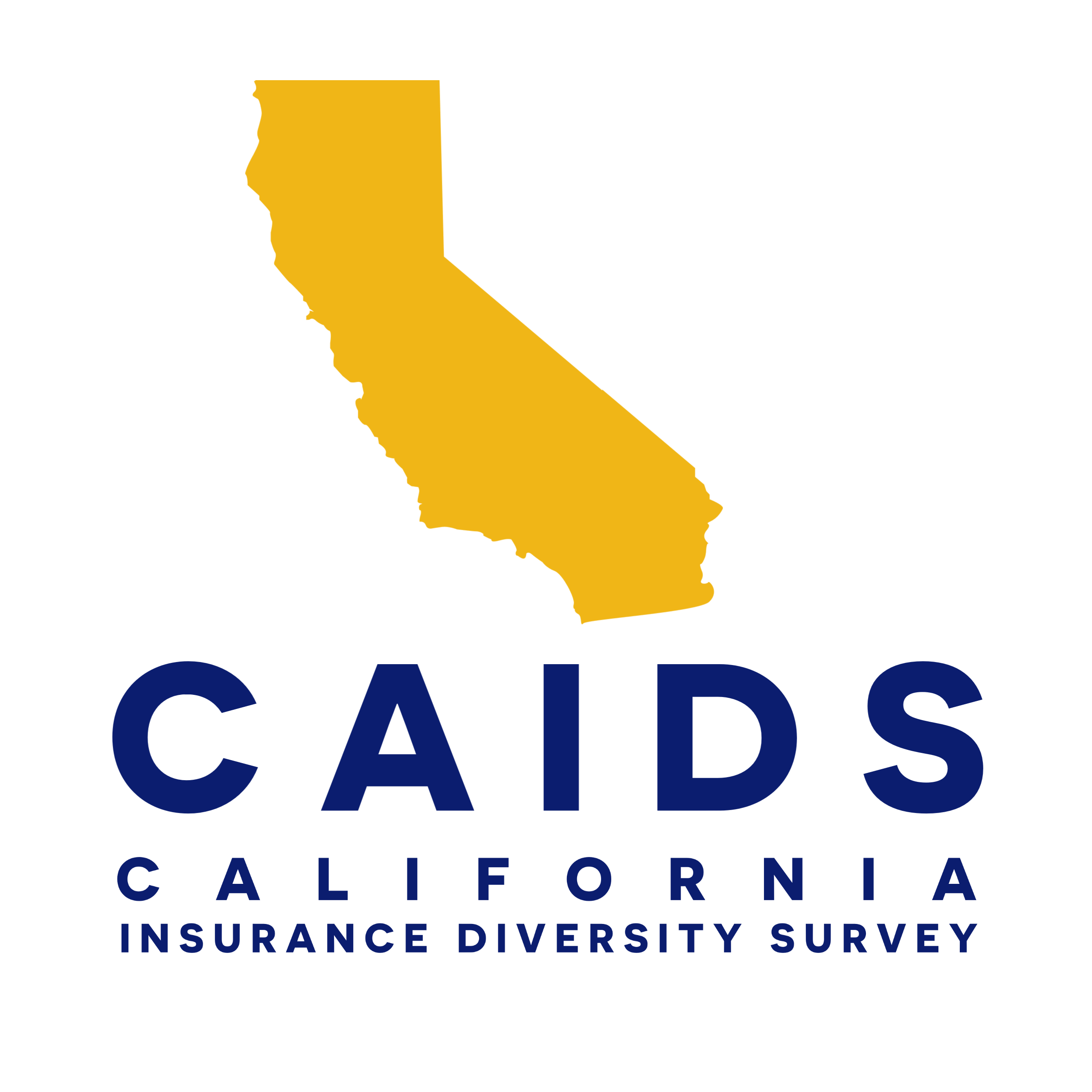 2020 CAIDS Final Logo