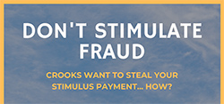 Don't Stimulate Fraud 