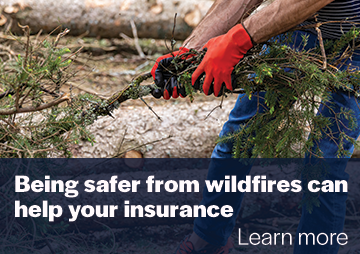 Being safer from wildfires can help your insurance