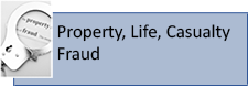 Property, Life, Casualty Fraud