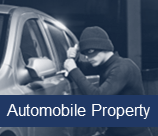 Automobile Property Insurance Fraud