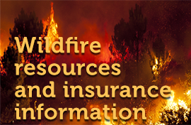 Wildfire resources and insurance information